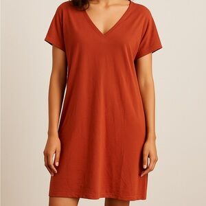 Raven & Lily Rust V-Neck Shift Dress | Size Small | Minimalist & Comfy
